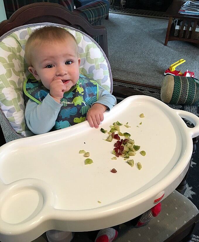 Baby Led Weaning with Freshy Bag ~ Life Beyond the Kitchen