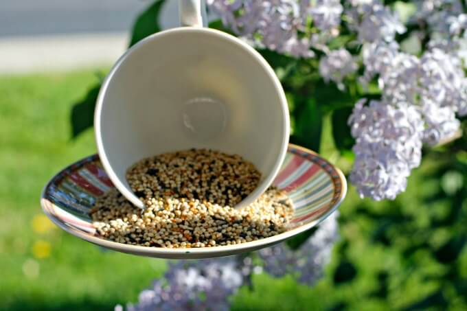 Tea Cup Bird Feeder ~ Transform a pretty cup and saucer into a whimsical bird feeder ~ Life Beyond the Kitchen