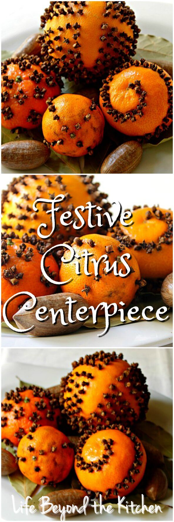 Festive Citrus Centerpiece ~ Creative Craft Bloggers Challenge #ccbg ~ Life Beyond the Kitchen